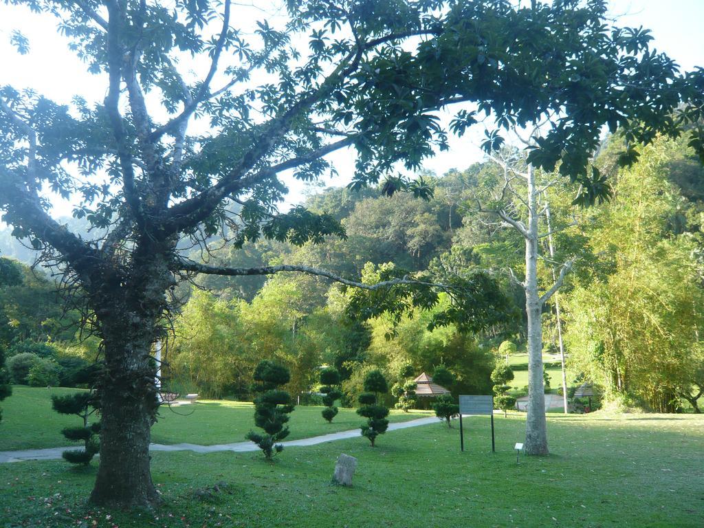 Cozy Mount Erskine Homestay จอร์จทาวน์ ภายนอก รูปภาพ