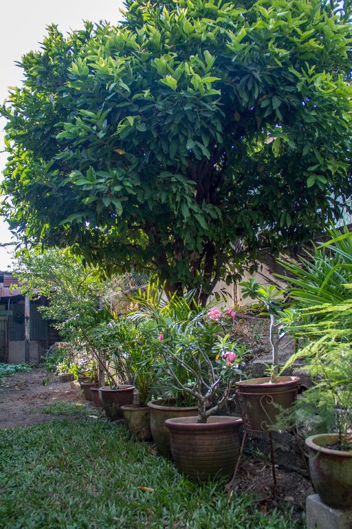 Cozy Mount Erskine Homestay จอร์จทาวน์ ภายนอก รูปภาพ